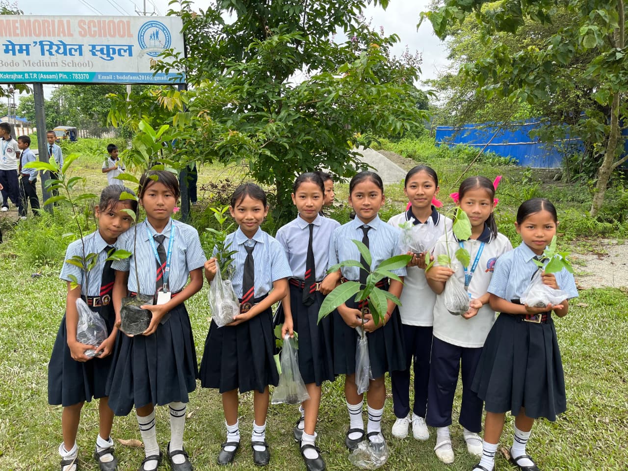 Planting by the School Gate